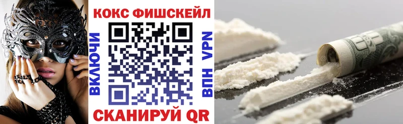 где купить   Снежинск  COCAIN FishScale 