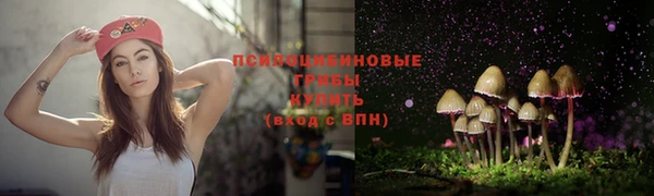 PSILOCYBIN Армянск