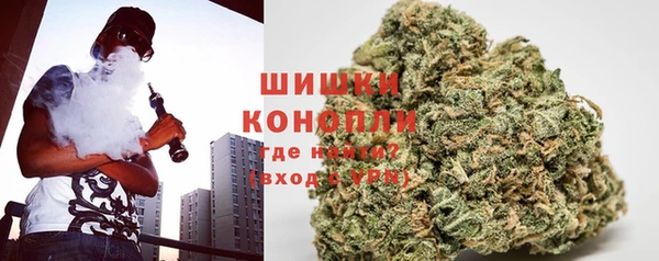 PSILOCYBIN Армянск