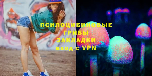 PSILOCYBIN Армянск