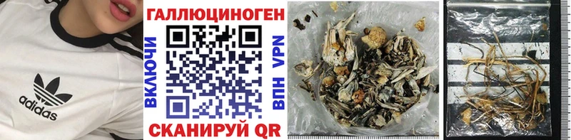 Галлюциногенные грибы Cubensis  купить наркотики сайты  Снежинск 